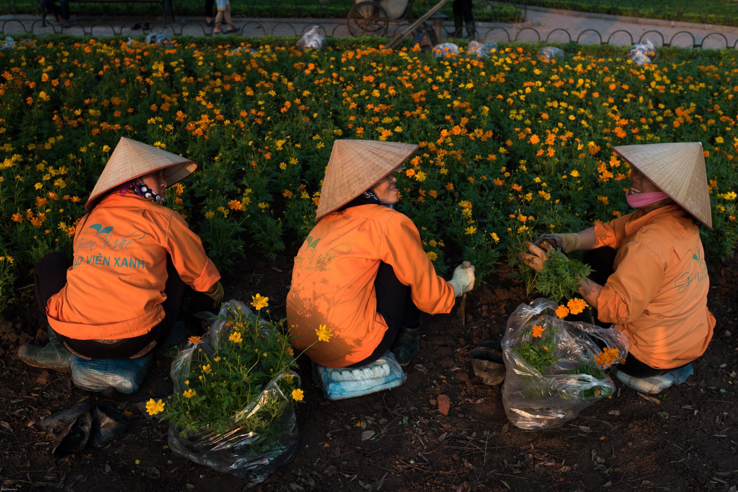 Galleries 6 Hoan Kiem Lake Hanoi