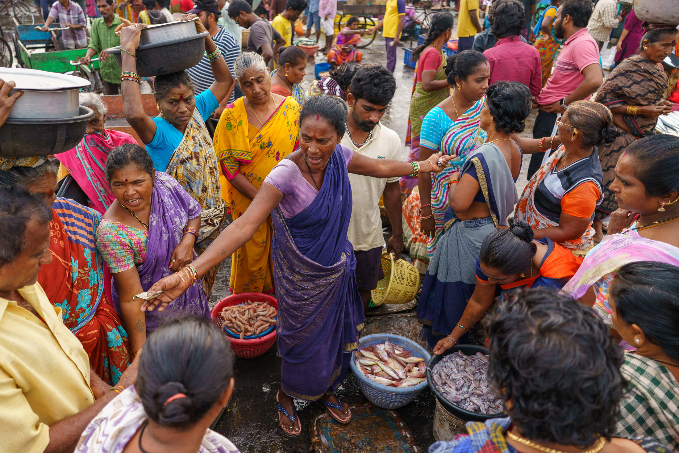 Galleries 2 Selling fresh fish