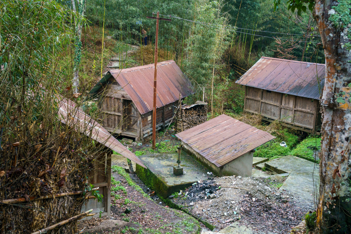 Apatani Tribe, Ziro, India 24 Apatani Tribe, Ziro, India 24