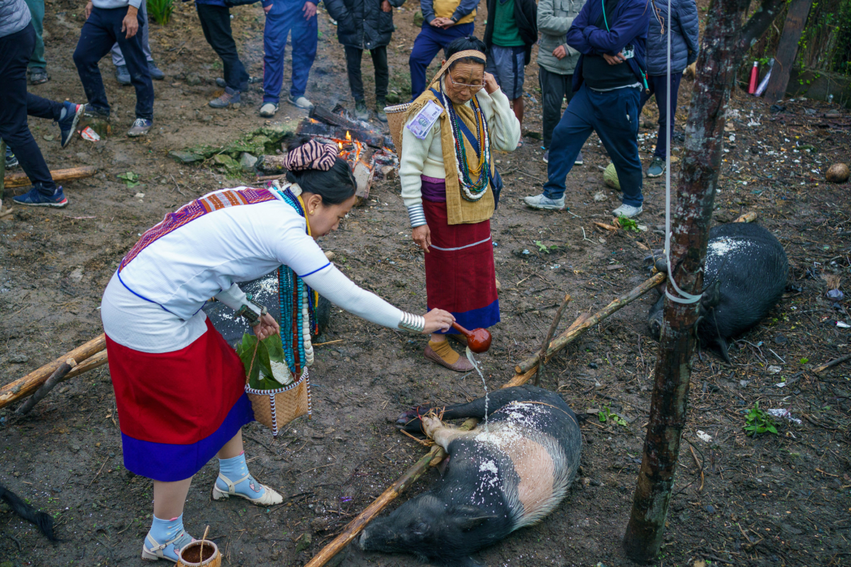 Apatani Tribe, Ziro, India 43 Apatani Tribe, Ziro, India 43