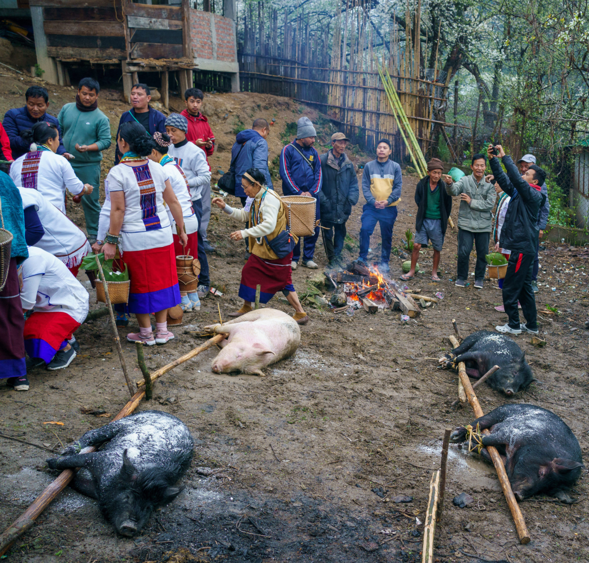 Apatani Tribe, Ziro, India 44 Apatani Tribe, Ziro, India 44