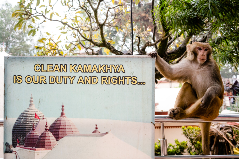 Guwahati, Assam,India 9 Guwahati, Assam,India 9