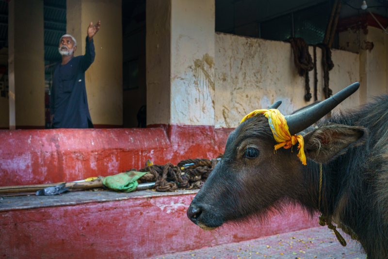 Guwahati, Assam,India 23 Guwahati, Assam,India 23