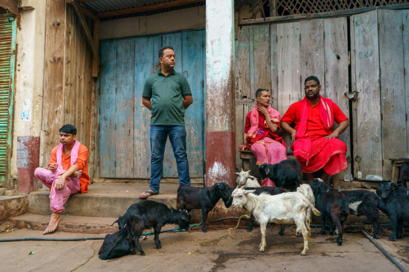 Guwahati, Assam,India 43 Guwahati, Assam,India 43