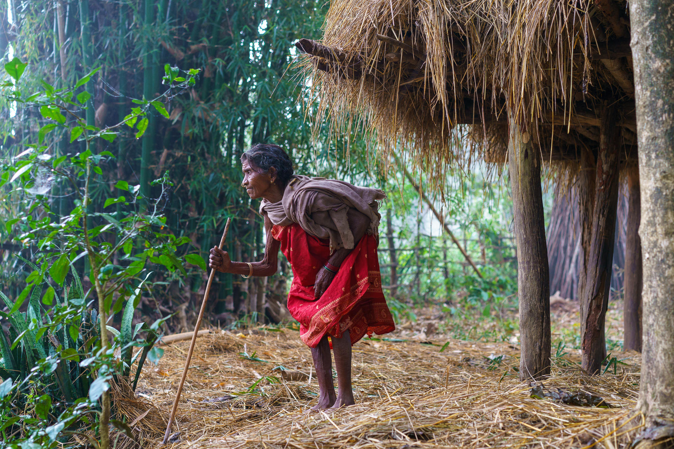 Galleries 4 Galleries 3