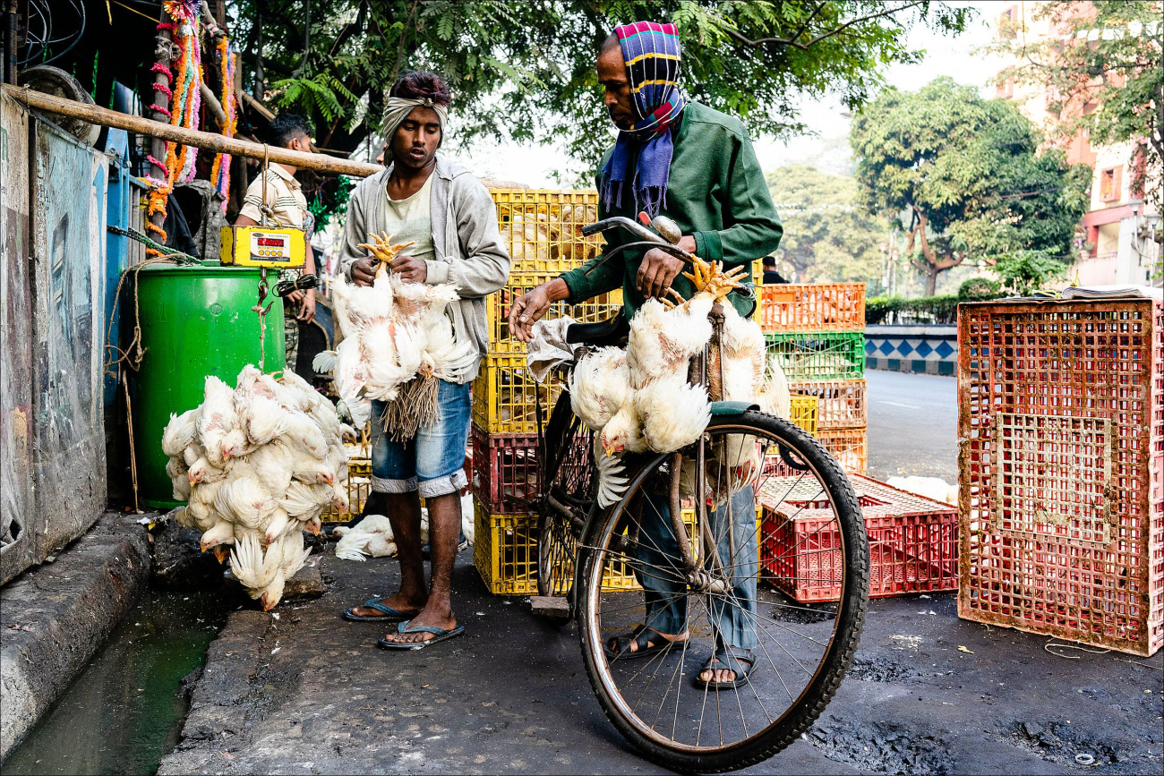 Kolkata Street Photography 25