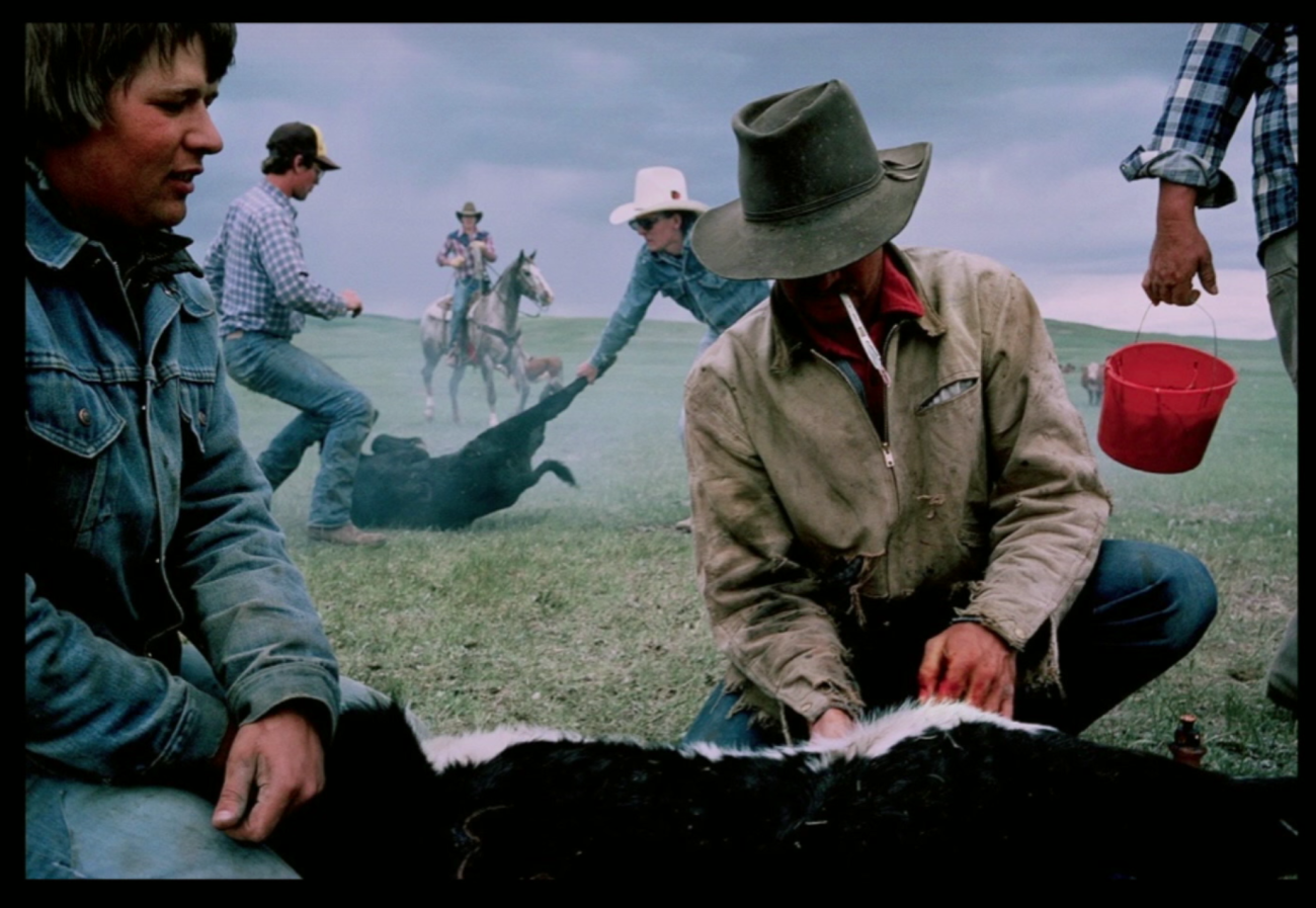 North Dakota & Montana 20