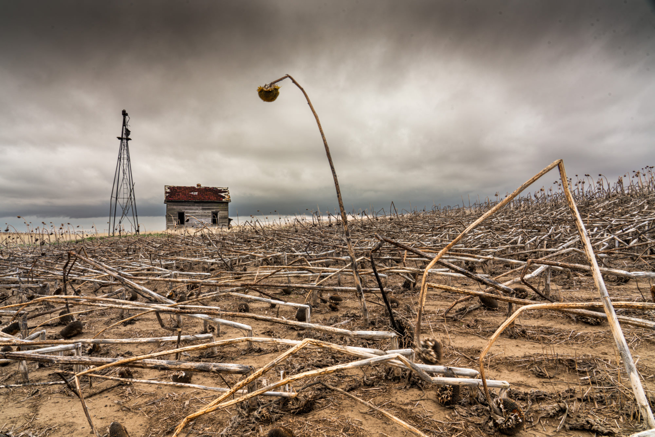 North Dakota & Montana 13