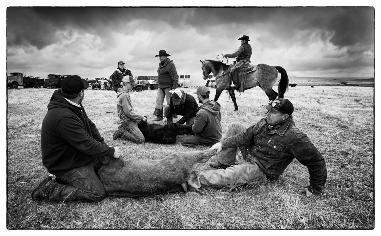 North Dakota & Montana 19