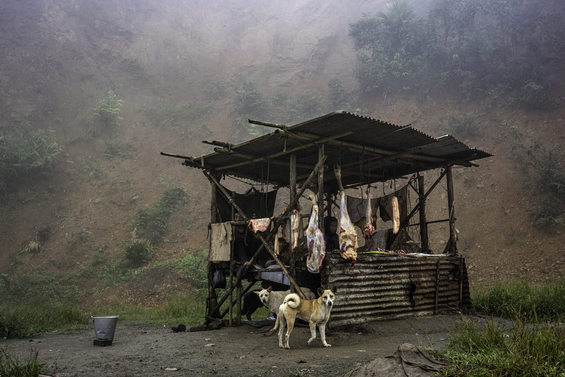 World Food Photography Awards 12 World Food Photography Awards 11