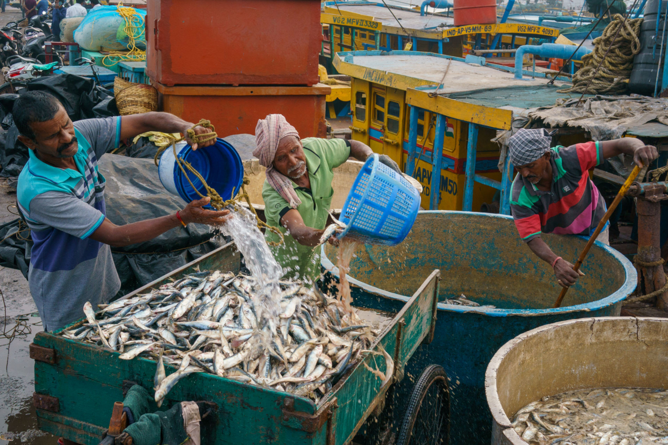 World Food Photography Awards 16 World Food Photography Awards 15