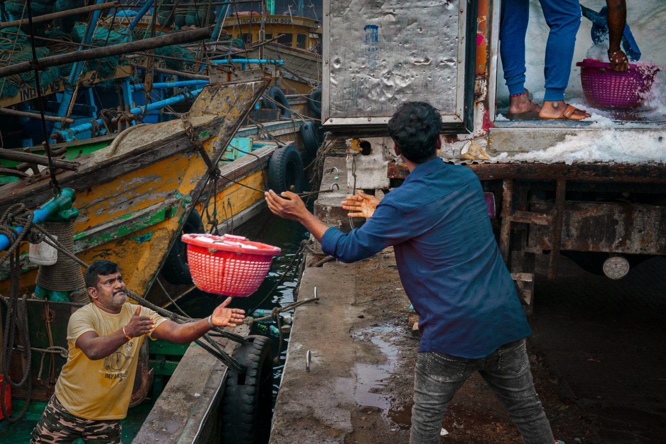 World Food Photography Awards 19 World Food Photography Awards 18
