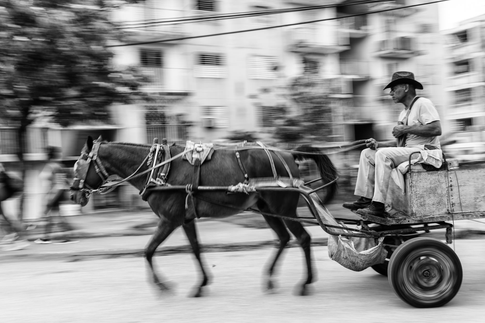 Cuba Street Photography Roadtrp | 14 Day Guide with Mark Seymour 22 “Panned black-and-white image capturing a horse and cart in motion with a driver holding the reins against a blurred urban backdrop.”