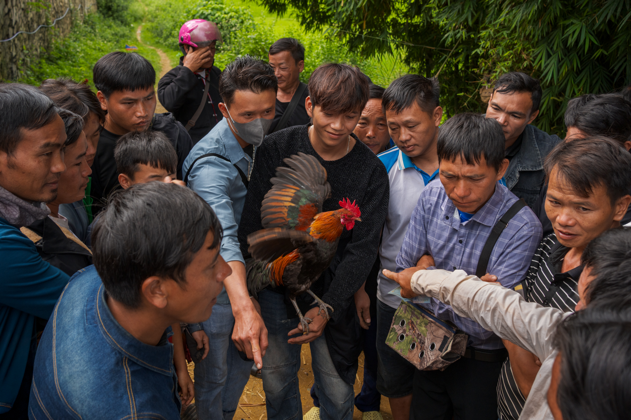 Northern Vietnam Photography: A Photographer’s Journey Beyond the Tourist Trail 29 Men and boys gather around a fighting rooster during a cockfighting event in northern Vietnam.